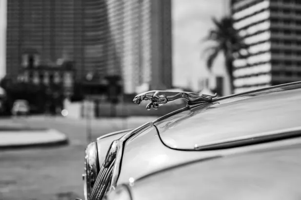 Kaszinó Loyal Bet Android/iOS Alkalmazás